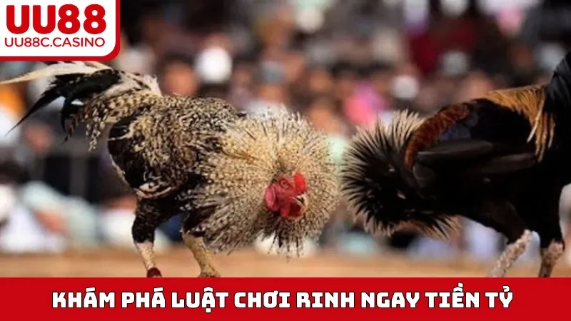 Khám phá luật chơi rinh ngay tiền tỷ